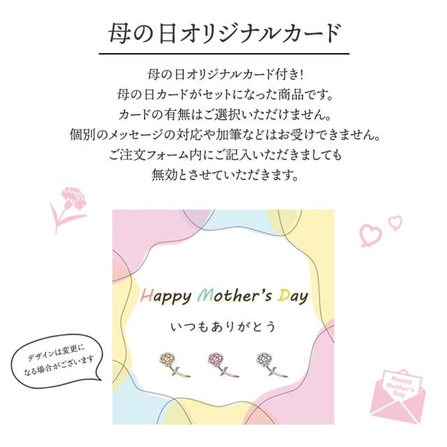 母の日フルーツ盛り合わせ