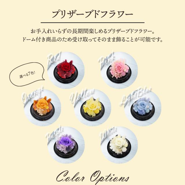 プリザとフルーツ盛り合わせ