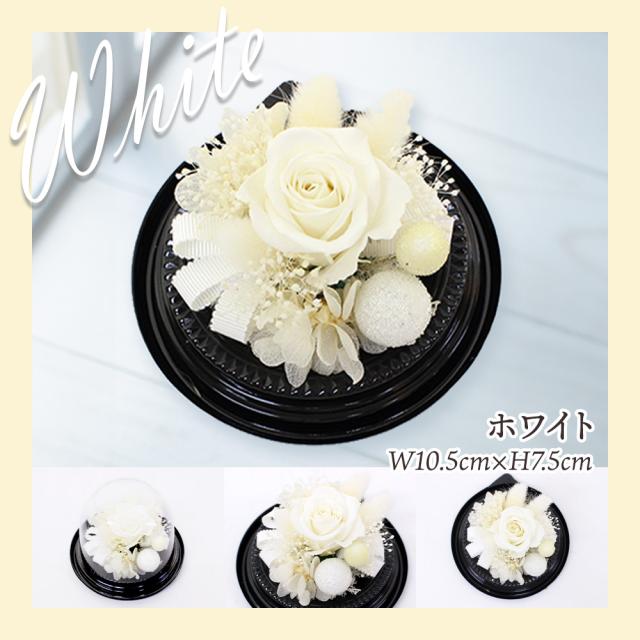 プリザとフルーツ盛り合わせ