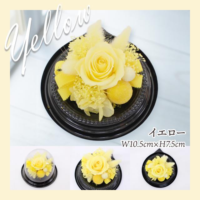 プリザとフルーツ盛り合わせ