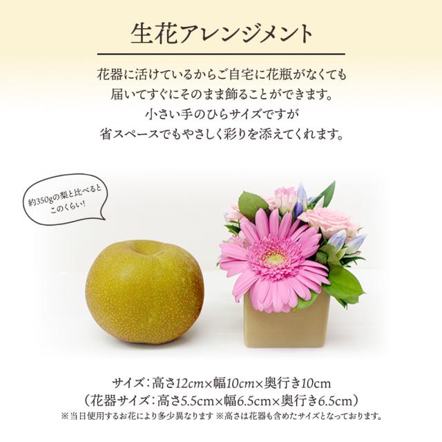 プリザとフルーツ盛り合わせ