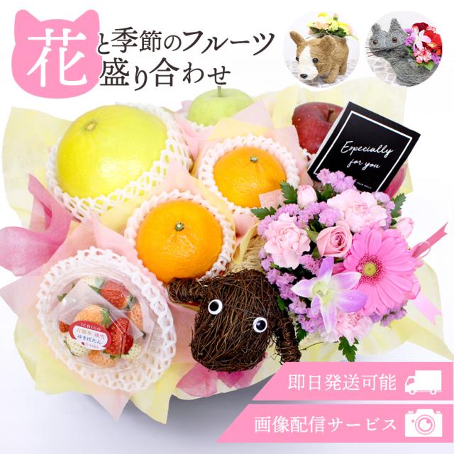 フルーツ盛り合わせお祝い