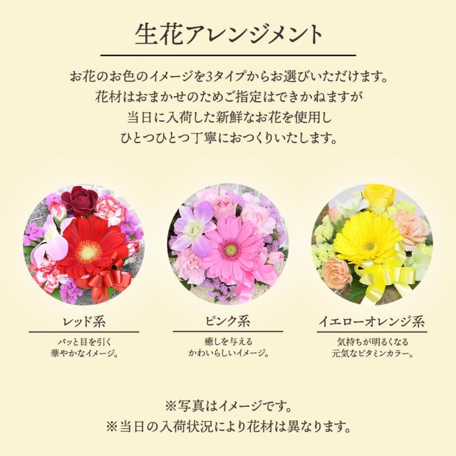 フルーツ盛り合わせお祝い