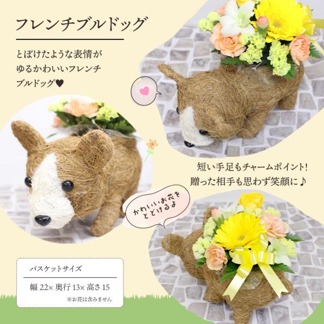 フルーツ盛り合わせお祝い