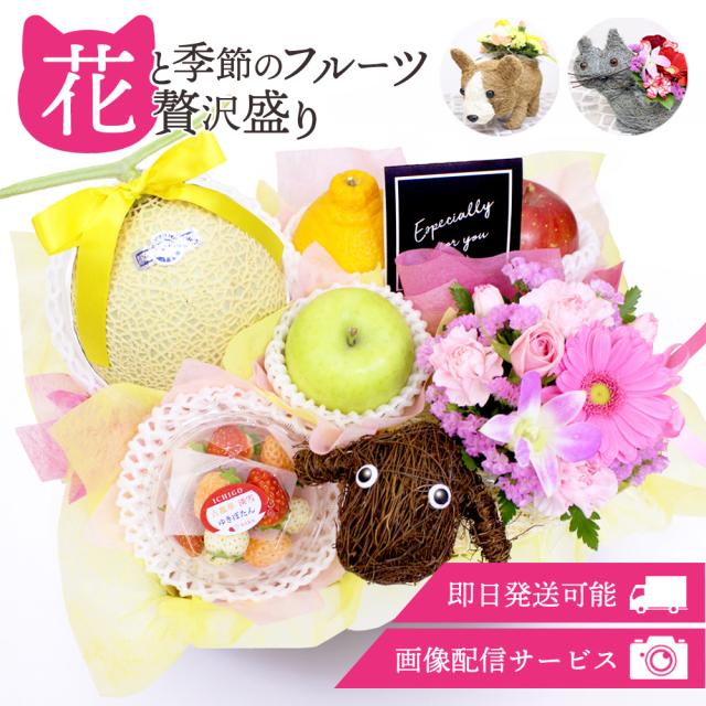 フルーツ盛り合わせお祝い