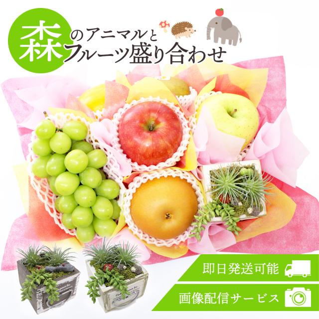 季節のフルーツ盛り合わせ