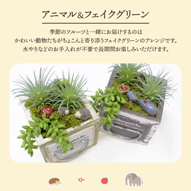 季節のフルーツ盛り合わせ