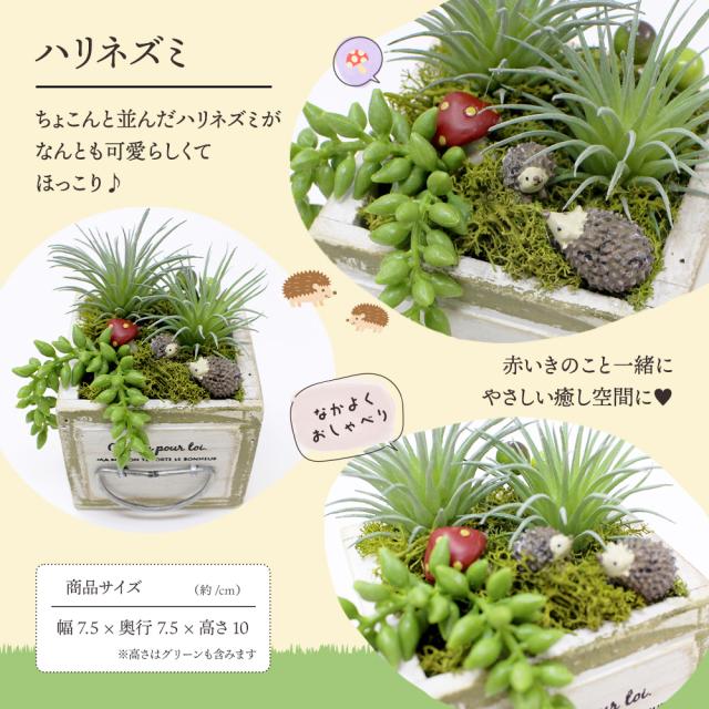 季節のフルーツ盛り合わせ