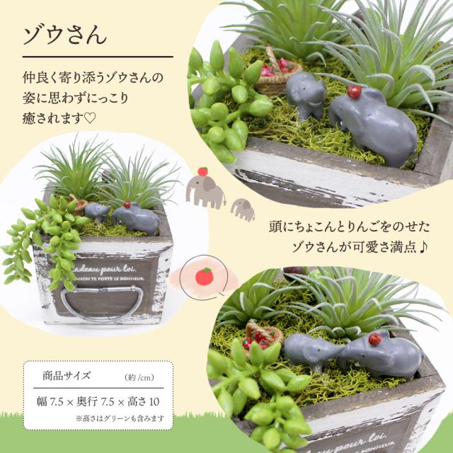 季節のフルーツ盛り合わせ