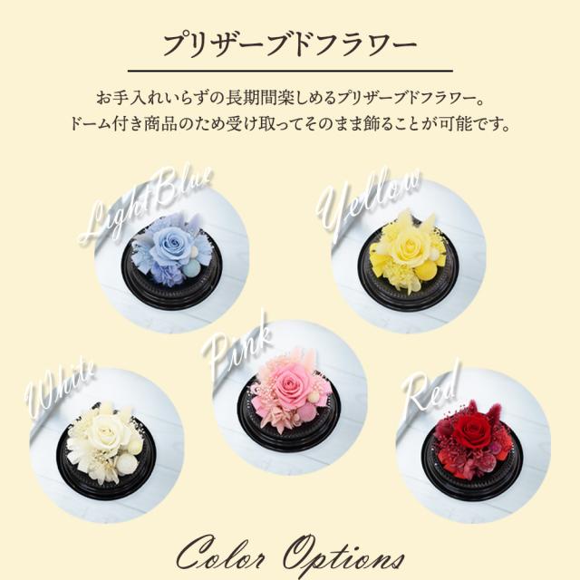 プリザとフルーツ盛り合わせ