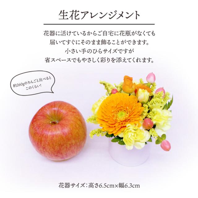 生花アレンジメントとフルーツ盛り合わせ