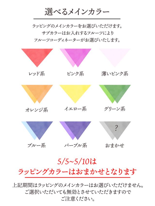 フルーツ盛り合わせお祝い