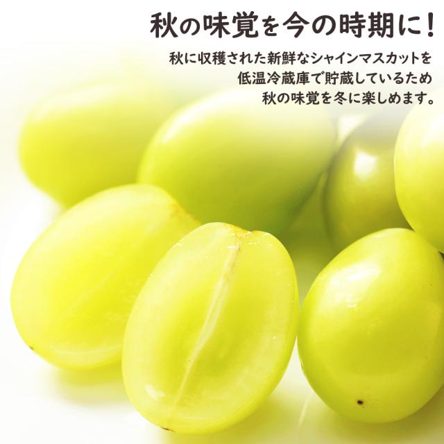 シャインマスカット冬