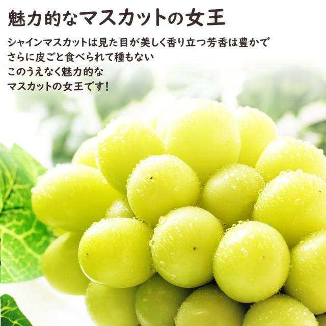 クラウン&シャイン