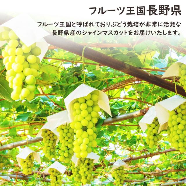 クラウン&シャイン