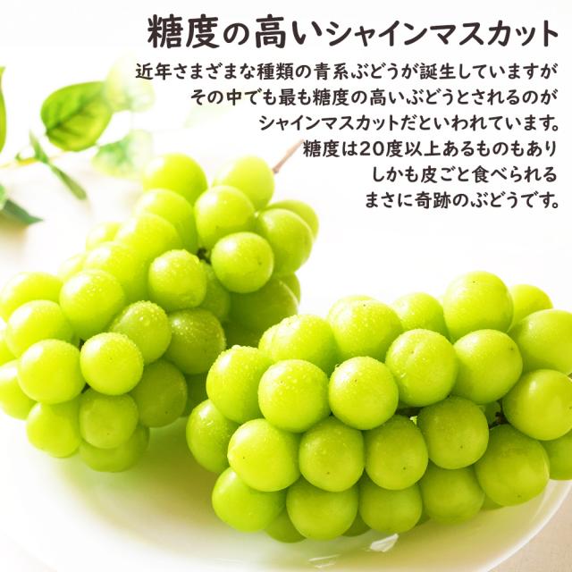 シャインマスカット冬