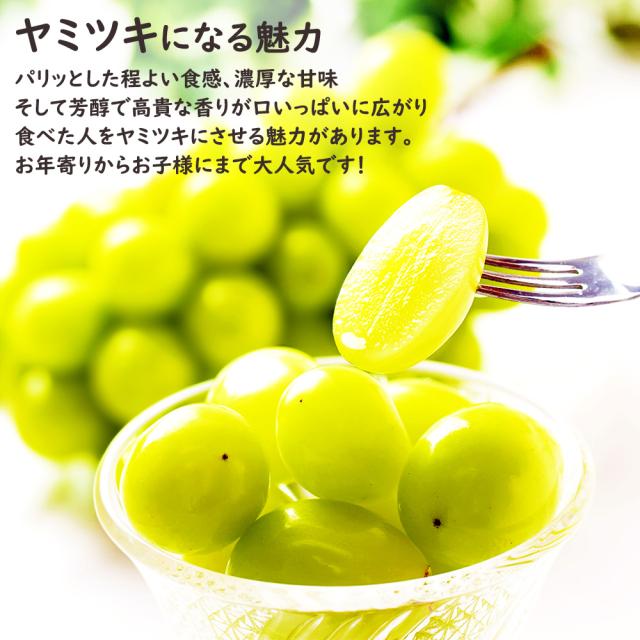 シャインマスカット冬