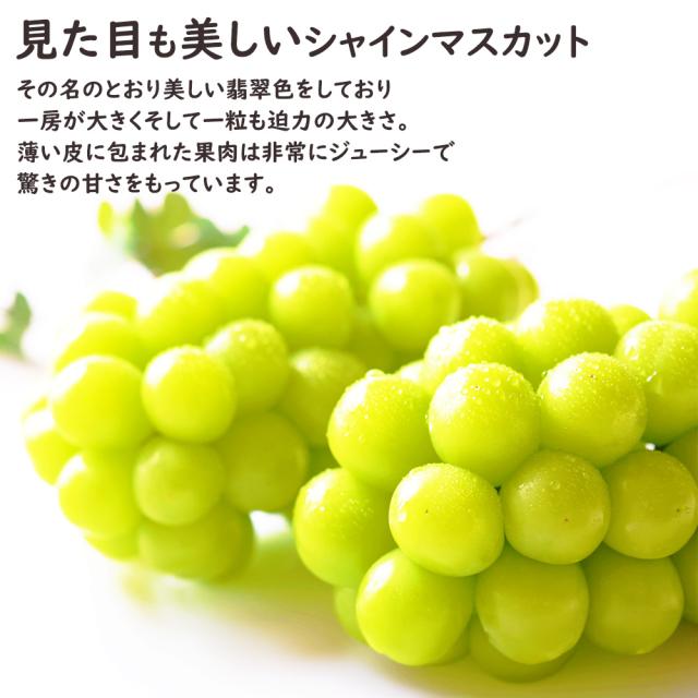 シャインマスカット冬