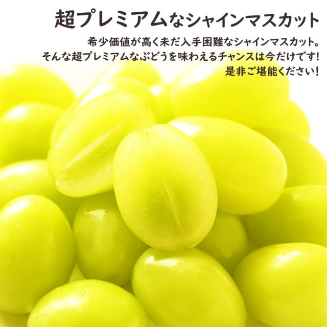 シャインマスカット冬