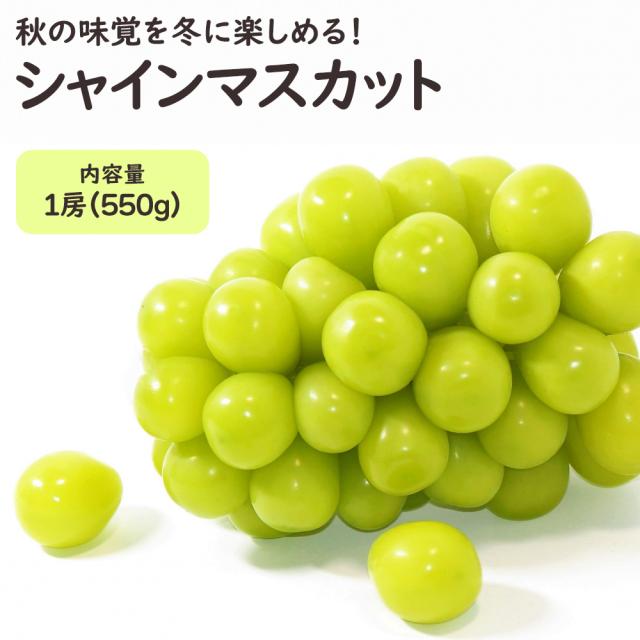 シャインマスカット冬