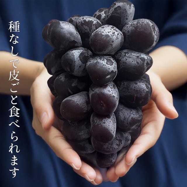 ブラックシャインマスカット