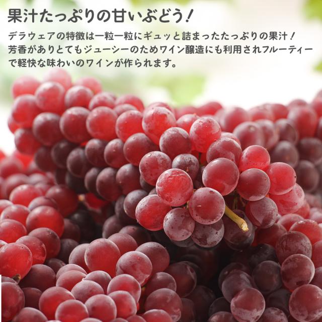 父の日デラウェア