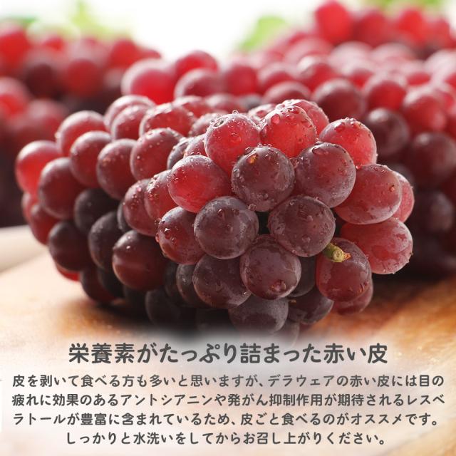 父の日デラウェア