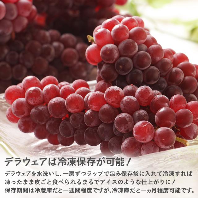 父の日デラウェア