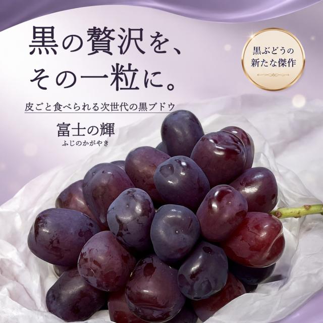 富士の輝