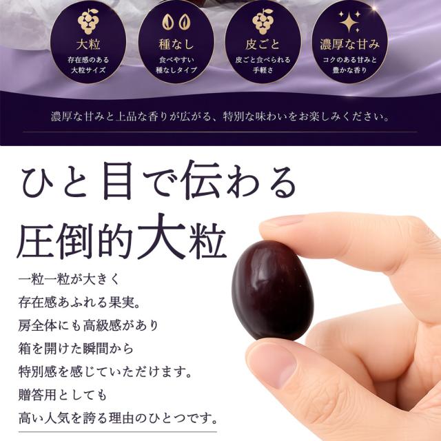 富士の輝