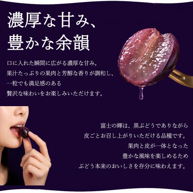 富士の輝