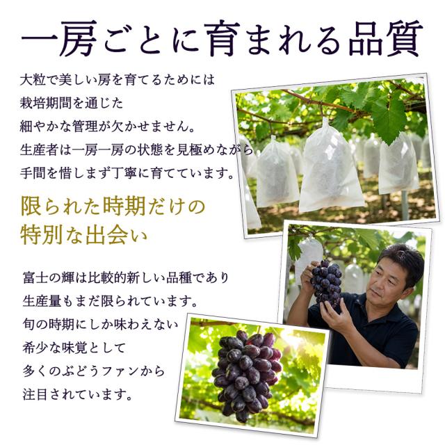 富士の輝