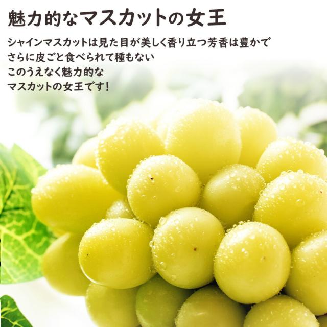 シャインマスカット