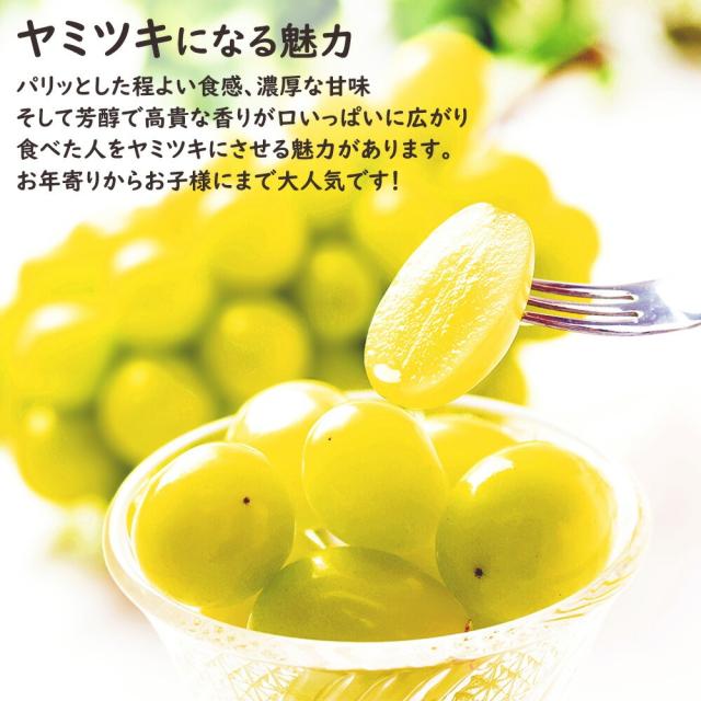 シャインマスカット