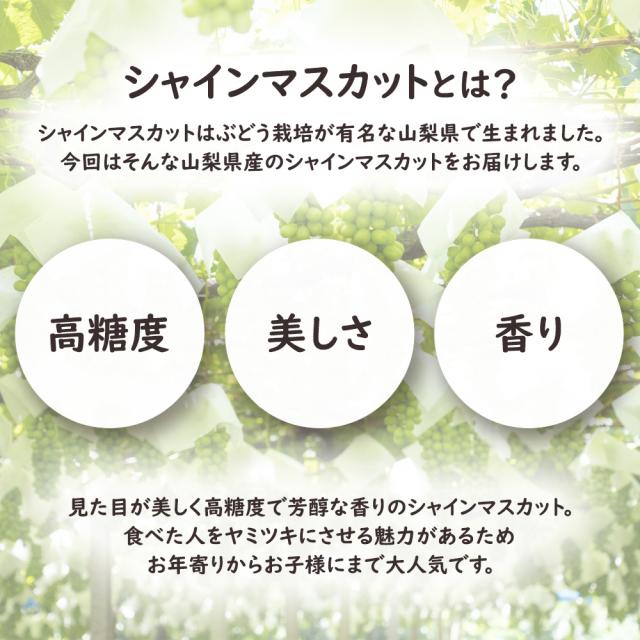 シャインマスカット