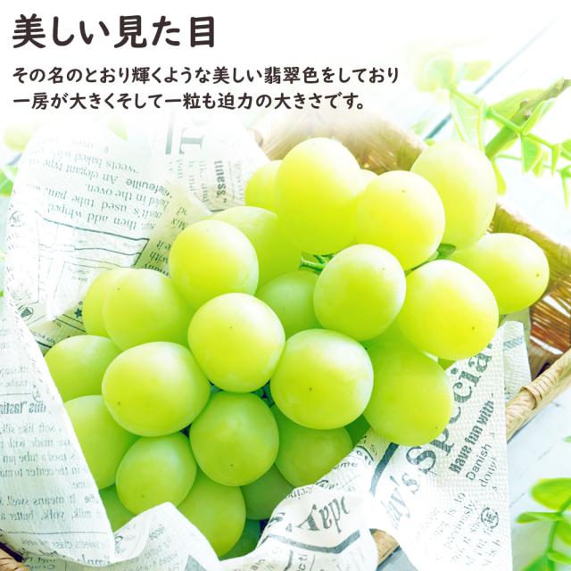 クラウン&シャイン