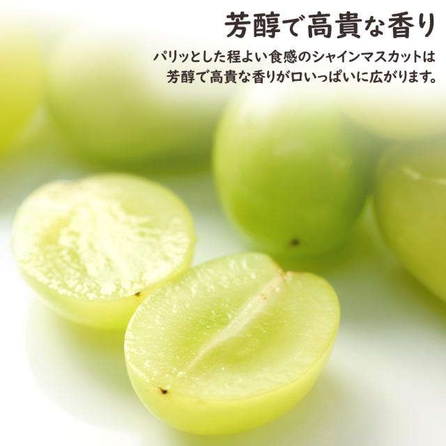 シャインマスカット