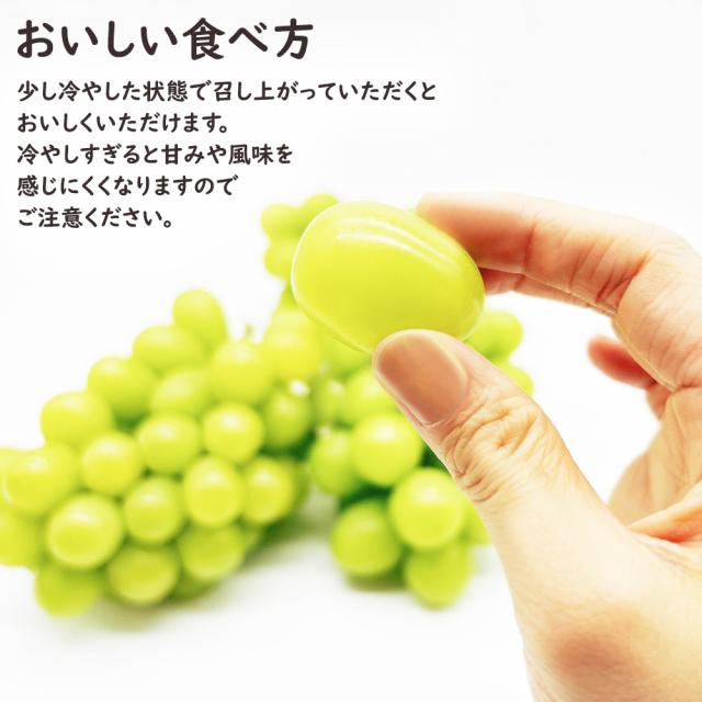 シャインマスカット