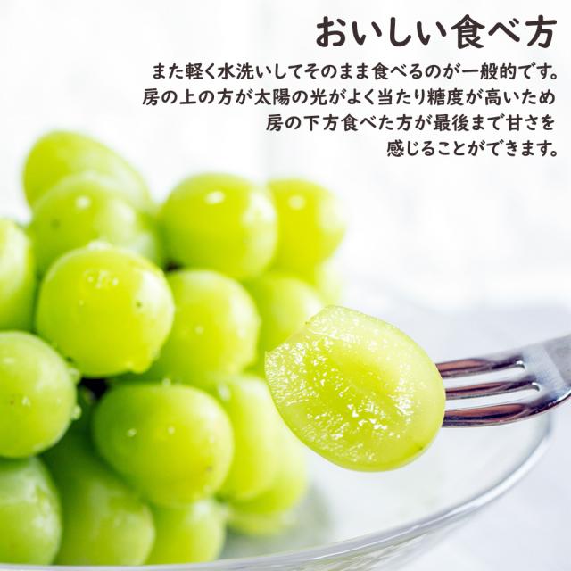 クラウン&シャイン