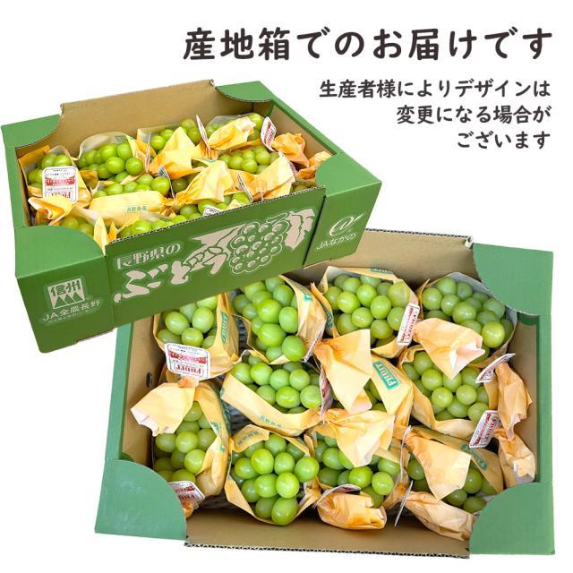 シャインマスカット