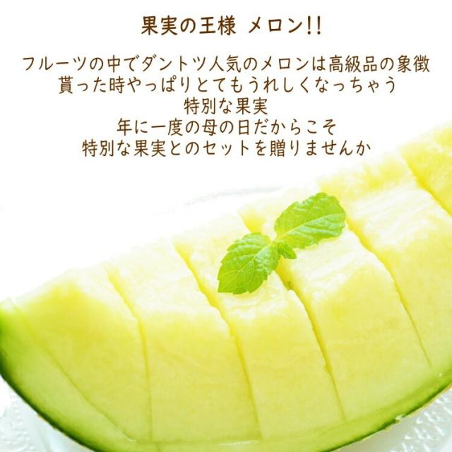 カーネーションメロン