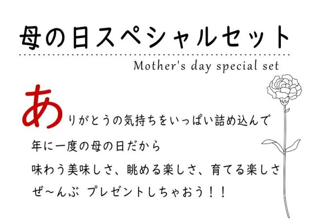 カーネーションメロン