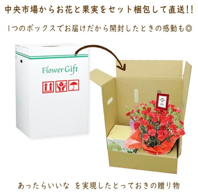 カーネーションメロン