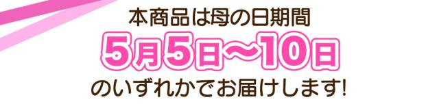 佐藤錦 母の日 産地直送 山形 産直 カーネーション