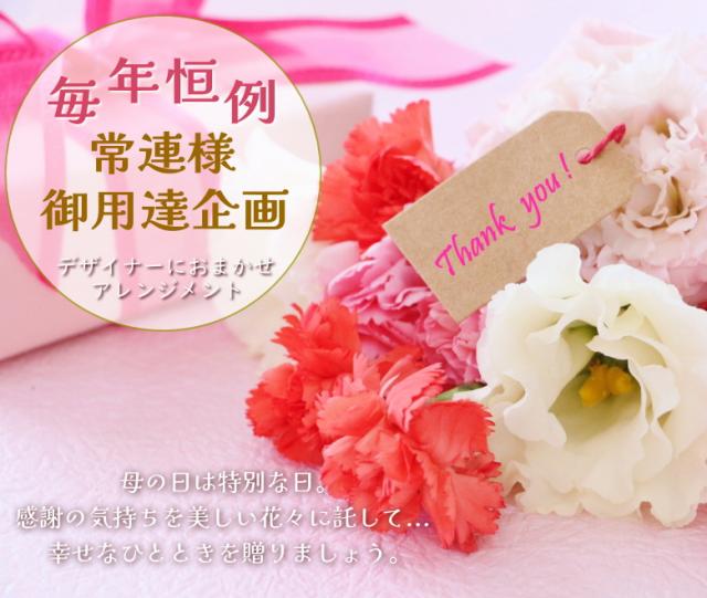 カーネーション 母の日 プレゼント デラックス プレミアム