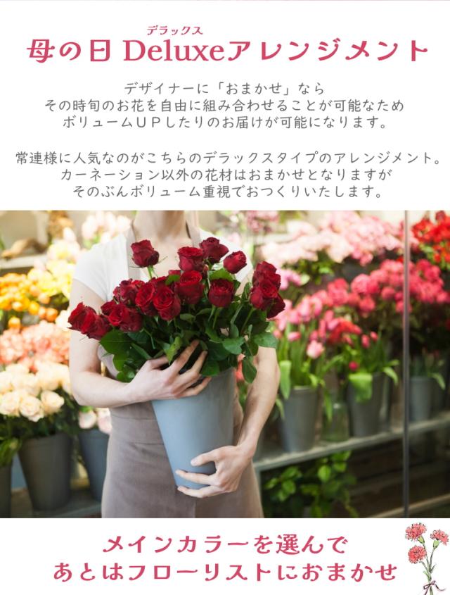 カーネーション 母の日 プレゼント お花屋さん デザイナー おまかせ フローリスト