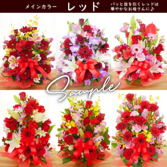 カーネーション 母の日 プレゼント レッド 赤