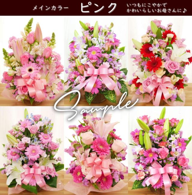 カーネーション 母の日 プレゼント ピンク