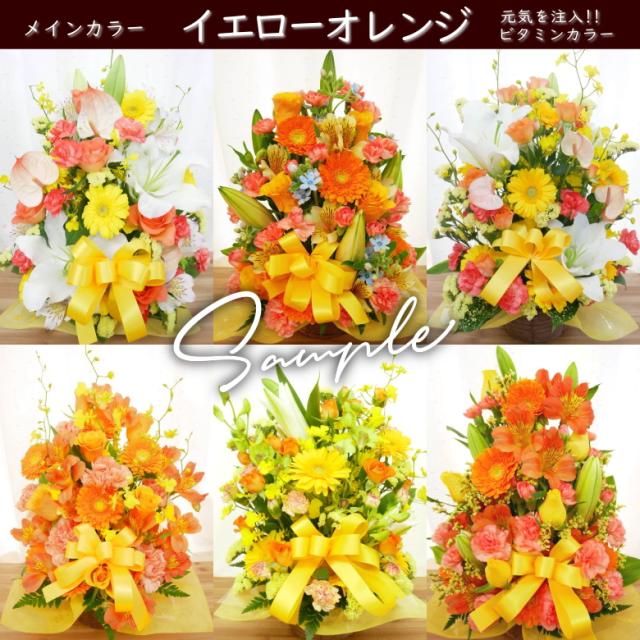 カーネーション 母の日 プレゼント ビタミンカラー イエロー オレンジ