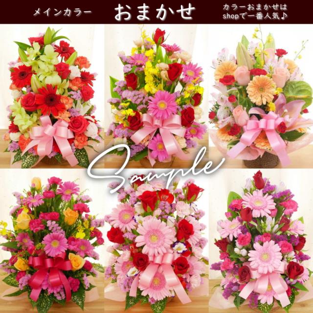 カーネーション 母の日 プレゼント おまかせ